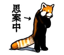 Daily life of the lesser panda sticker #10691347