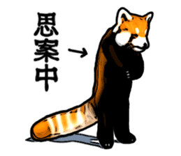 Daily life of the lesser panda sticker #10691347