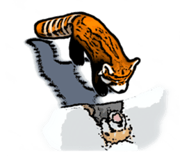 Daily life of the lesser panda sticker #10691348