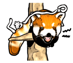 Daily life of the lesser panda sticker #10691350