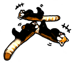 Daily life of the lesser panda sticker #10691351