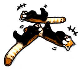 Daily life of the lesser panda sticker #10691351