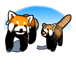Daily life of the lesser panda sticker #10691352
