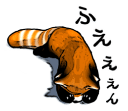 Daily life of the lesser panda sticker #10691355