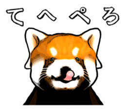 Daily life of the lesser panda sticker #10691357
