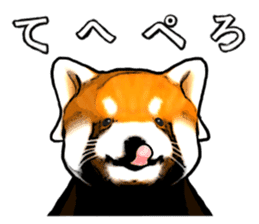 Daily life of the lesser panda sticker #10691357