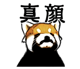 Daily life of the lesser panda sticker #10691358