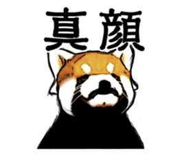 Daily life of the lesser panda sticker #10691358