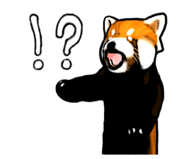 Daily life of the lesser panda sticker #10691361