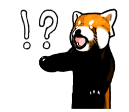 Daily life of the lesser panda sticker #10691361