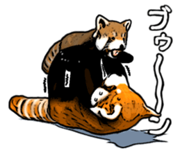Daily life of the lesser panda sticker #10691364