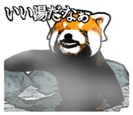 Daily life of the lesser panda sticker #10691366