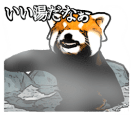 Daily life of the lesser panda sticker #10691366