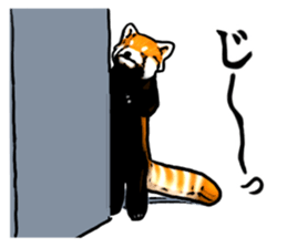 Daily life of the lesser panda sticker #10691367