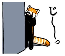 Daily life of the lesser panda sticker #10691367