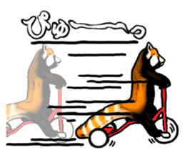 Daily life of the lesser panda sticker #10691368