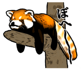 Daily life of the lesser panda sticker #10691369