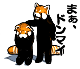 Daily life of the lesser panda sticker #10691370