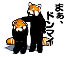 Daily life of the lesser panda sticker #10691370