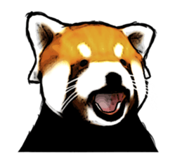 Daily life of the lesser panda sticker #10691372