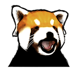 Daily life of the lesser panda sticker #10691372
