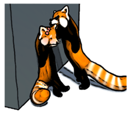 Daily life of the lesser panda sticker #10691373