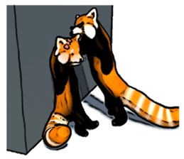 Daily life of the lesser panda sticker #10691373
