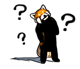 Daily life of the lesser panda sticker #10691374