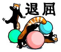 Daily life of the lesser panda sticker #10691376