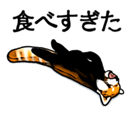 Daily life of the lesser panda sticker #10691378