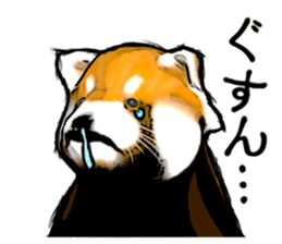 Daily life of the lesser panda sticker #10691380