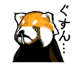 Daily life of the lesser panda sticker #10691380