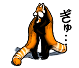 Daily life of the lesser panda sticker #10691382