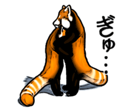 Daily life of the lesser panda sticker #10691382
