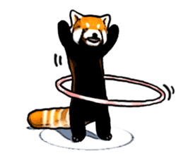Daily life of the lesser panda sticker #10691383