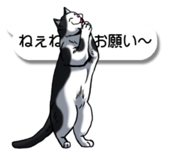 Cats love balloon 4 sticker #10691856