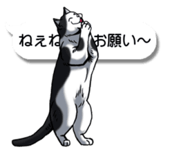 Cats love balloon 4 sticker #10691856