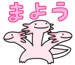 Axolotl ver.2 sticker #10692098