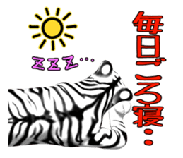 New version : Female Tiger Cub, Torako sticker #10692426