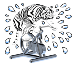 New version : Female Tiger Cub, Torako sticker #10692429