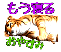 New version : Male Tiger Cub, Torakichi sticker #10692545
