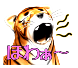 New version : Male Tiger Cub, Torakichi sticker #10692556