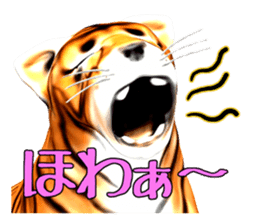 New version : Male Tiger Cub, Torakichi sticker #10692556