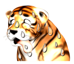 New version : Male Tiger Cub, Torakichi sticker #10692574