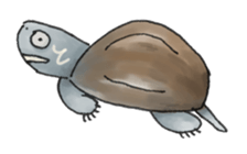 Japanese Turtle Kame-chan sticker #10694144