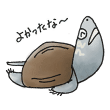 Japanese Turtle Kame-chan sticker #10694145
