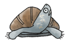 Japanese Turtle Kame-chan sticker #10694149