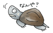 Japanese Turtle Kame-chan sticker #10694150