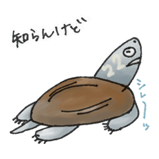 Japanese Turtle Kame-chan sticker #10694151