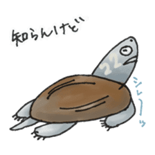 Japanese Turtle Kame-chan sticker #10694151